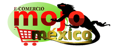 Mojomexico Programas y Soporte ERP
